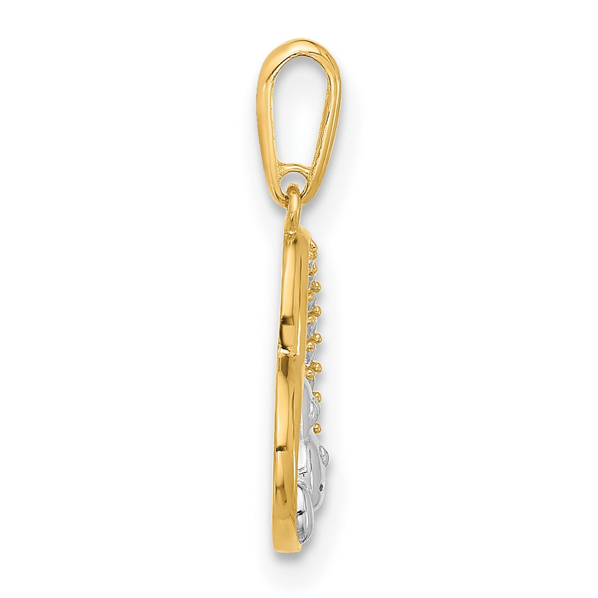 10k Multi-Tone Gold Dog Heart Pendant with Cubic Zirconia, Pet Memorial Charm