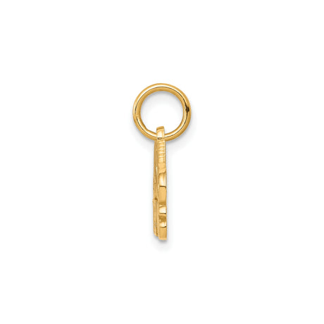 10k Yellow Gold Tennis Racquet Heart Pendant, Sporty Charm for Women or Unisex Wear