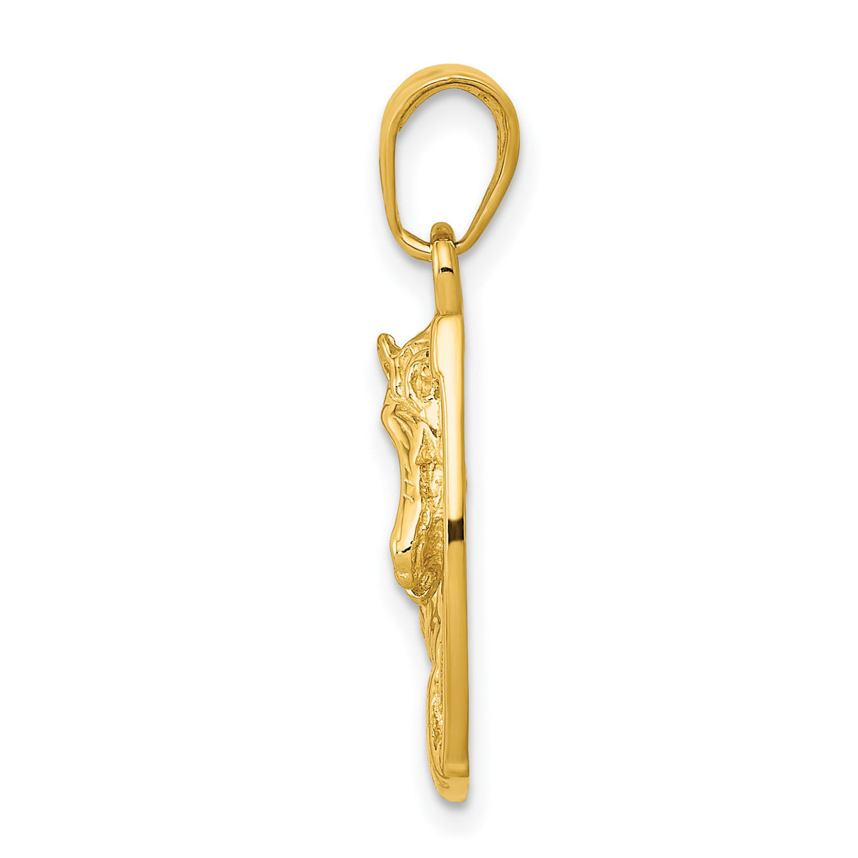 10k Yellow Gold Horse Head Horseshoe Pendant, Western Equestrian Charm