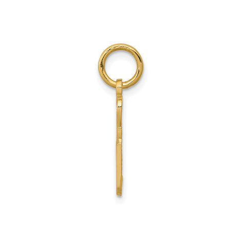 10k Yellow Gold Sexy Pendant Charm, Polished and Textured Statement Jewelry for Women