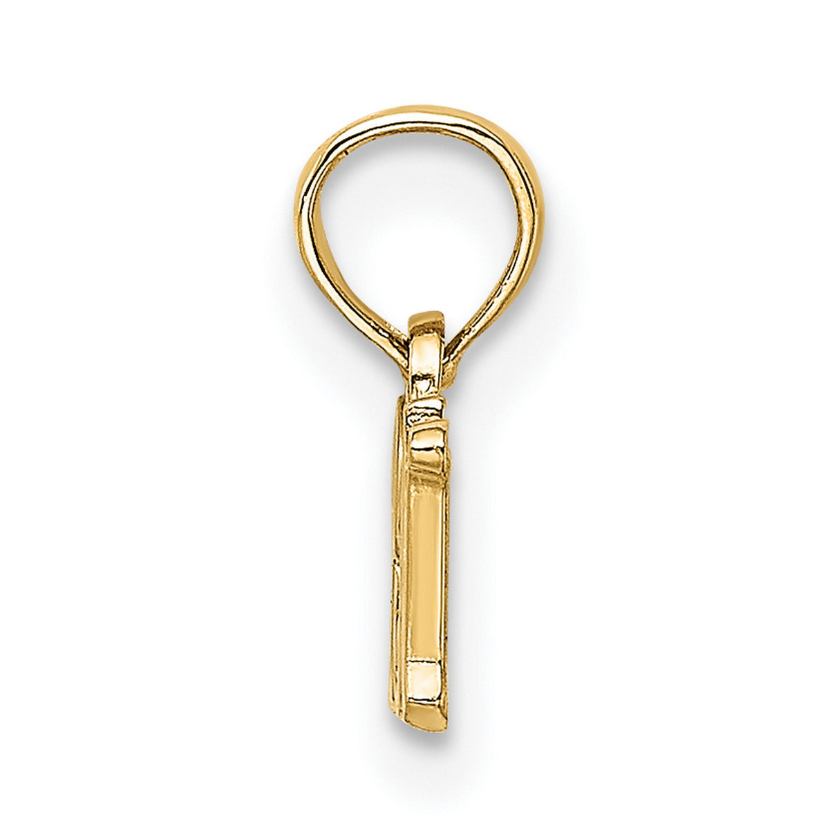 10k Yellow Gold Registered Nurse Pendant with Cursive RN Letters, Medical Charm for Women
