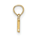 10k Yellow Gold Registered Nurse Pendant with Cursive RN Letters, Medical Charm for Women