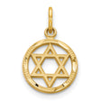 10k Yellow Gold Star of David Pendant with Textured Border and Openwork Design