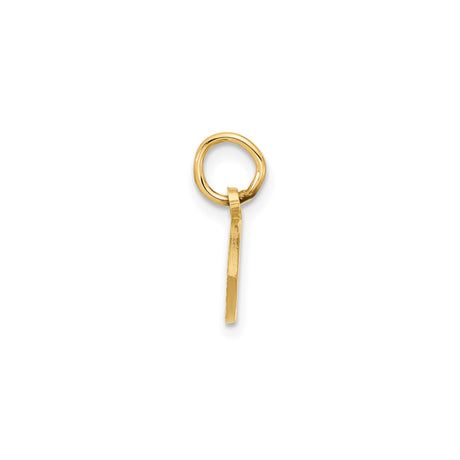 10k Yellow Gold Ichthys Fish Pendant with Raised Jesus Letters, Christian Religious Charm
