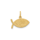 10k Yellow Gold Ichthys Fish Pendant with Raised Jesus Letters, Christian Religious Charm
