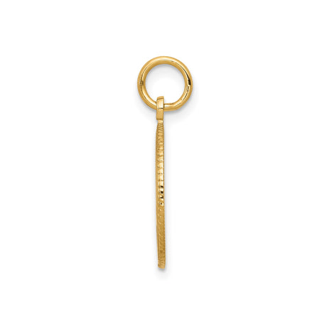 10k Yellow Gold Sweet 16 Pendant Charm, Textured Round Frame, Milestone Birthday Jewelry