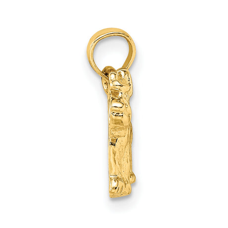 10k Yellow Gold Schnauzer Pendant, Detailed Dog Charm, Unisex Pet Memorial Jewelry
