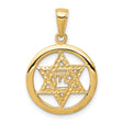 10k Yellow Gold Star of David Pendant with Hebrew Chai Symbol