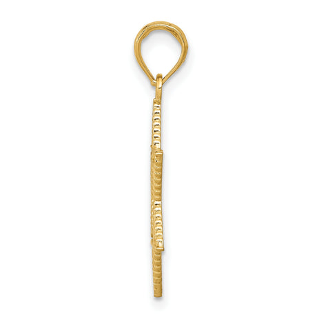 10k Yellow Gold Star of David Pendant, Detailed Textured Jewish Charm for Men or Women