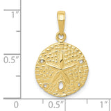 10k Yellow Gold Sand Dollar Pendant with Star Sea Design, Nautical Coastal Charm