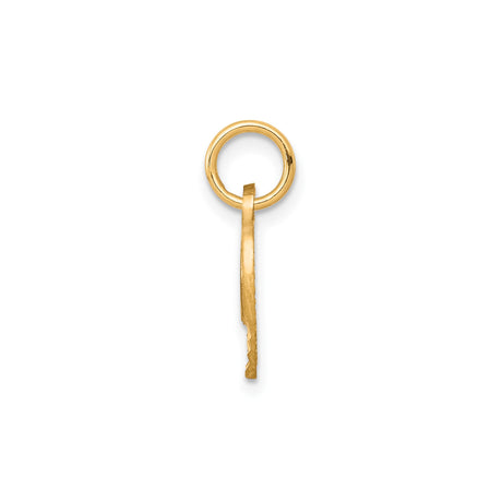 10k Yellow Gold Double Heart Pendant with Intertwined Open Hearts, Polished and Textured Design