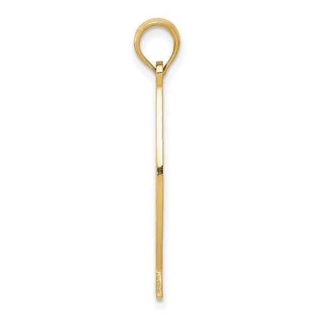 10k Yellow Gold Ichthys Fish Pendant with Jesus Name, Christian Religious Charm