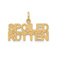 10k Yellow Gold Pendant, Bold Block Letter Spoiled Rotten Charm, Statement Jewelry for Women or Unisex