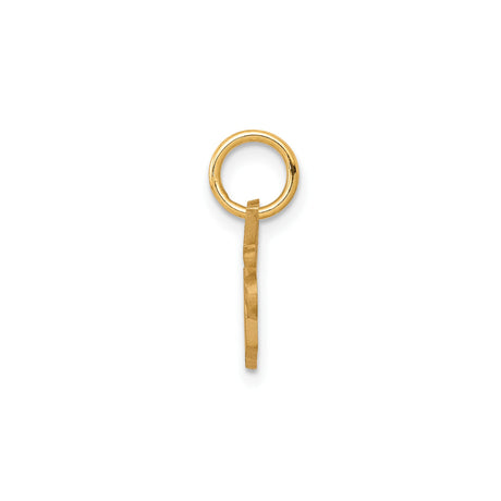 10k Yellow Gold Sister Pendant with Script Lettering, Sentimental Family Charm for Women