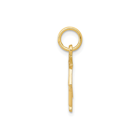 10k Yellow Gold Owl Graduation Pendant with Cap and Tassel Charm for Women or Unisex Wear