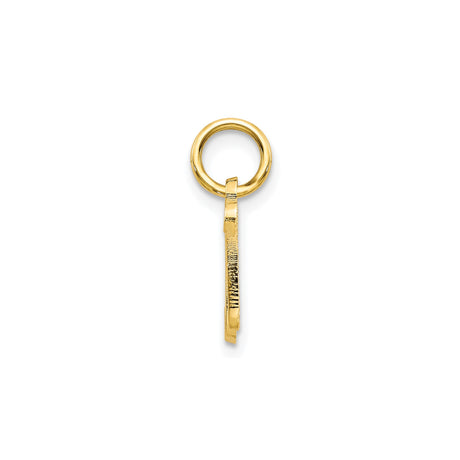 10k Yellow Gold Initial N Pendant Charm with Script Letter and Textured Design for Women