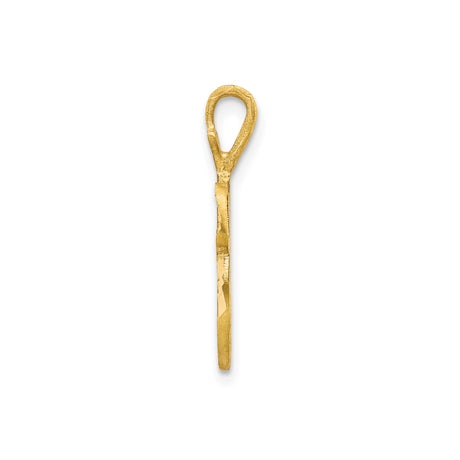 10k Yellow Gold Chai Pendant with Textured and Polished Finish, Hebrew Life Symbol Charm