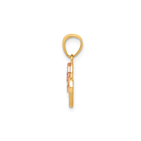 10k Two-Tone Gold Heart Pendant with 15 AÑOS Design, Quinceañera Charm for Teen Girl