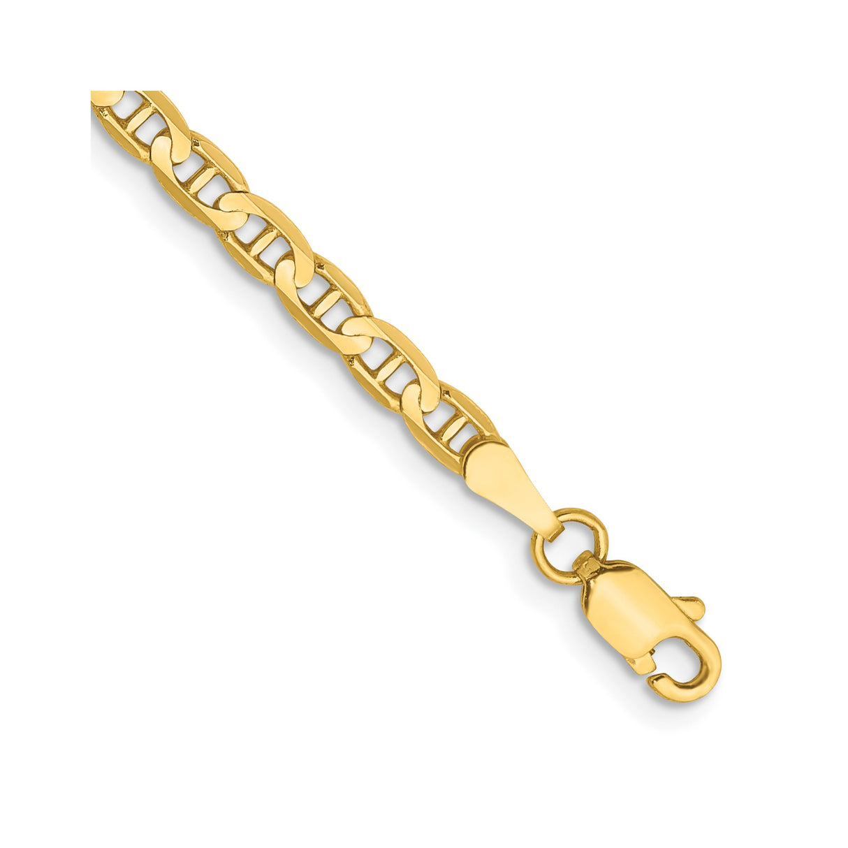 10K Yellow Gold 3 mm Polished Chain Anklet, Solid detail view