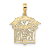 10k Yellow Gold RN Nurse Pendant with Caduceus Symbol, Medical Charm for Women