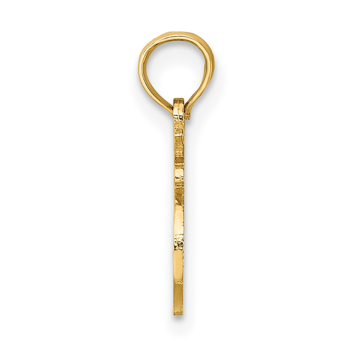 100% LEO Zodiac Charm Pendant in Real 10k Yellow Gold