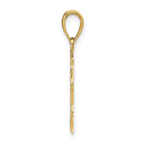 Lion Head Charm Pendant in Real 10k Yellow Gold