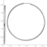 10k White Gold Hoop Earrings, Large Round Polished Hoops, Minimalist Classic Style for Women