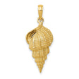 10k Yellow Gold Conch Shell Pendant, Nautical Beach Charm, Coastal Jewelry for Women