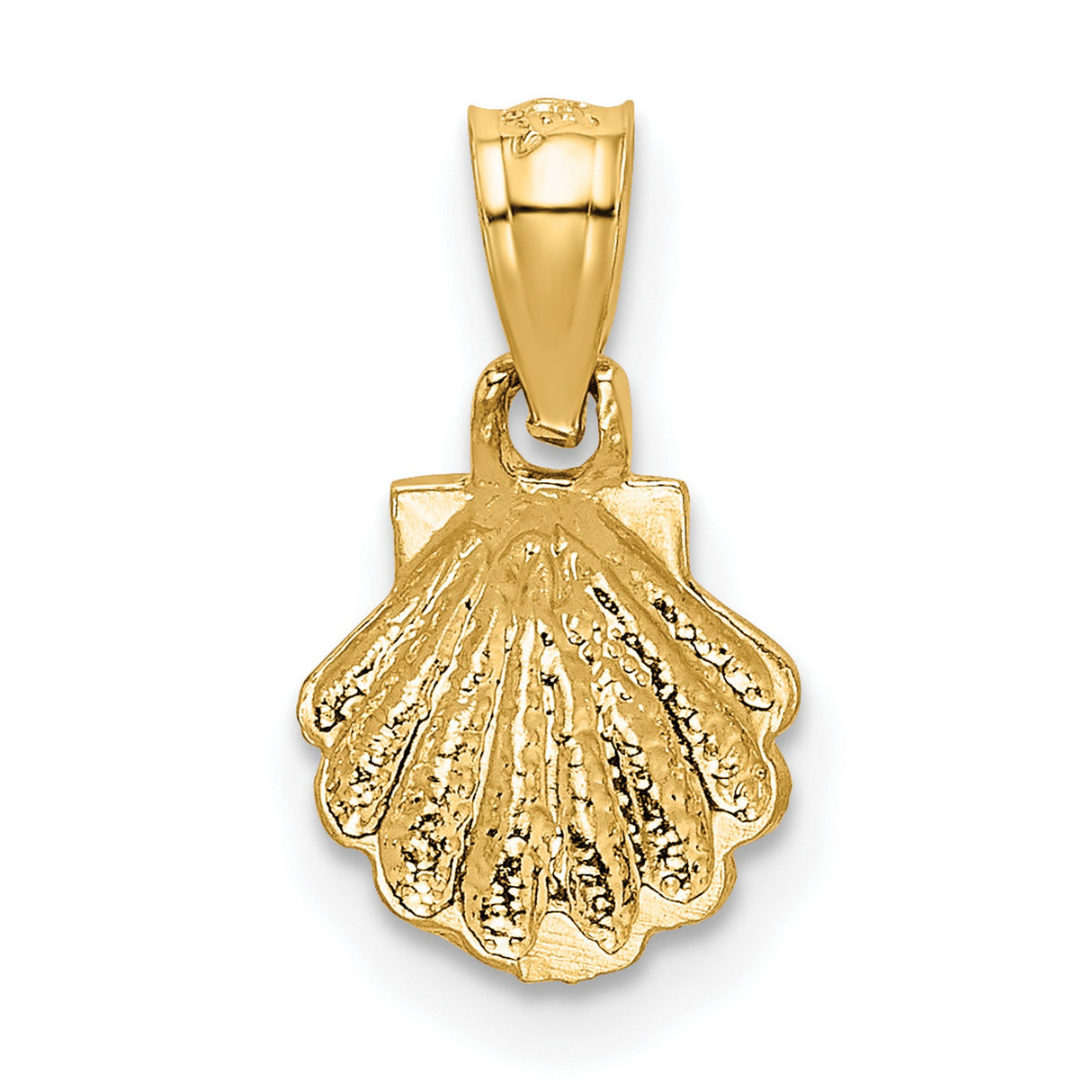 Scallop Shell Charm Pendant in Real 10k Yellow Gold