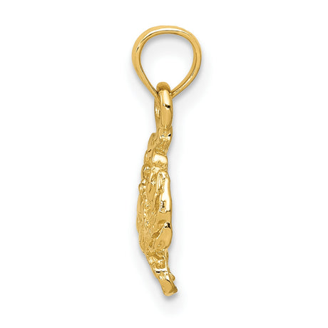 10k Yellow Gold Crab Pendant, Cancer Zodiac Nautical Charm for Women or Unisex Wear