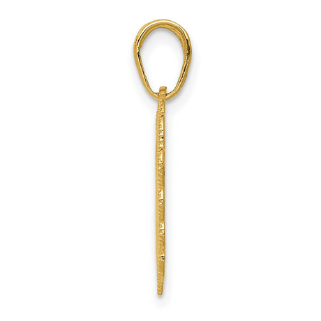 10k Yellow Gold RN Heart Pendant with Caduceus Symbol and Lace Border for Women