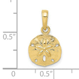 10k Yellow Gold Sand Dollar Pendant, Nautical Ocean Jewelry with Sea Life Design for Women
