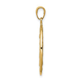10k Yellow Gold Miraculous Medal Pendant with Virgin Mary and Light Rays, Satin Finish Charm
