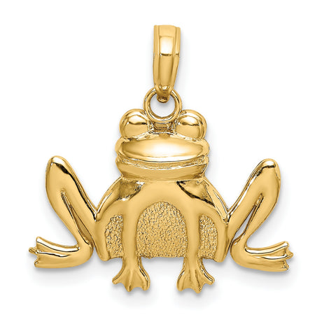 10k Yellow Gold Frog Pendant, Nature-Inspired Animal Charm Symbolizing Transformation and Luck