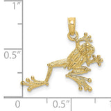 10k Yellow Gold Frog Pendant, Detailed Tree Frog Design, Animal and Nature Theme, Unisex Jewelry