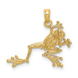 10k Yellow Gold Frog Pendant, Detailed Tree Frog Design, Animal and Nature Theme, Unisex Jewelry