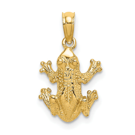 10k Yellow Gold Frog Pendant, Textured Animal Totem Jewelry for Women or Men