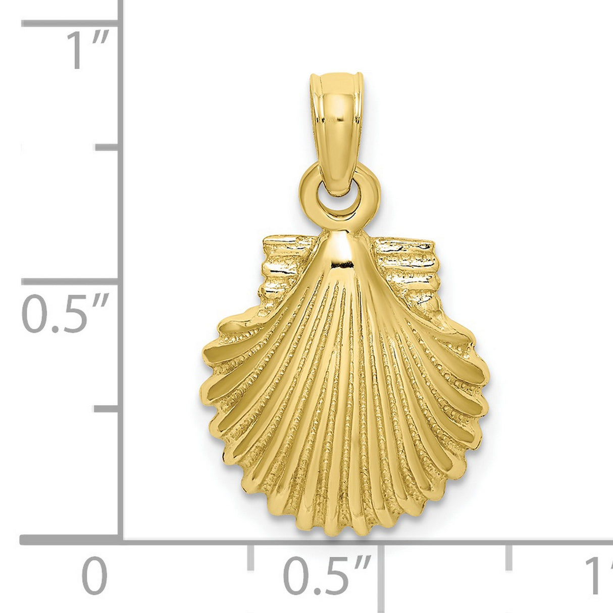 Polished Scallop Shell Charm Pendant in Real 10k Yellow Gold