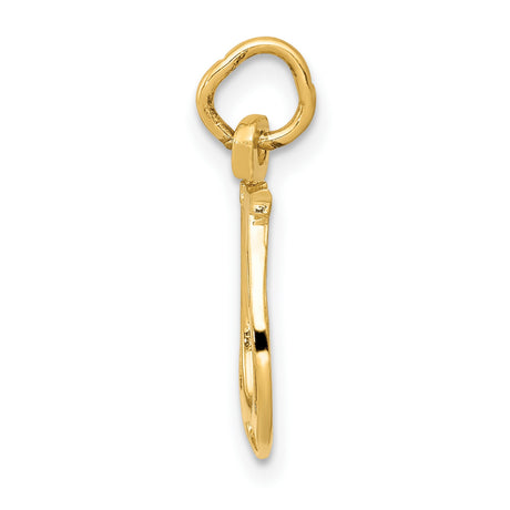 10k Yellow Gold Horseshoe Pendant, Polished Open Charm Symbol of Luck and Protection