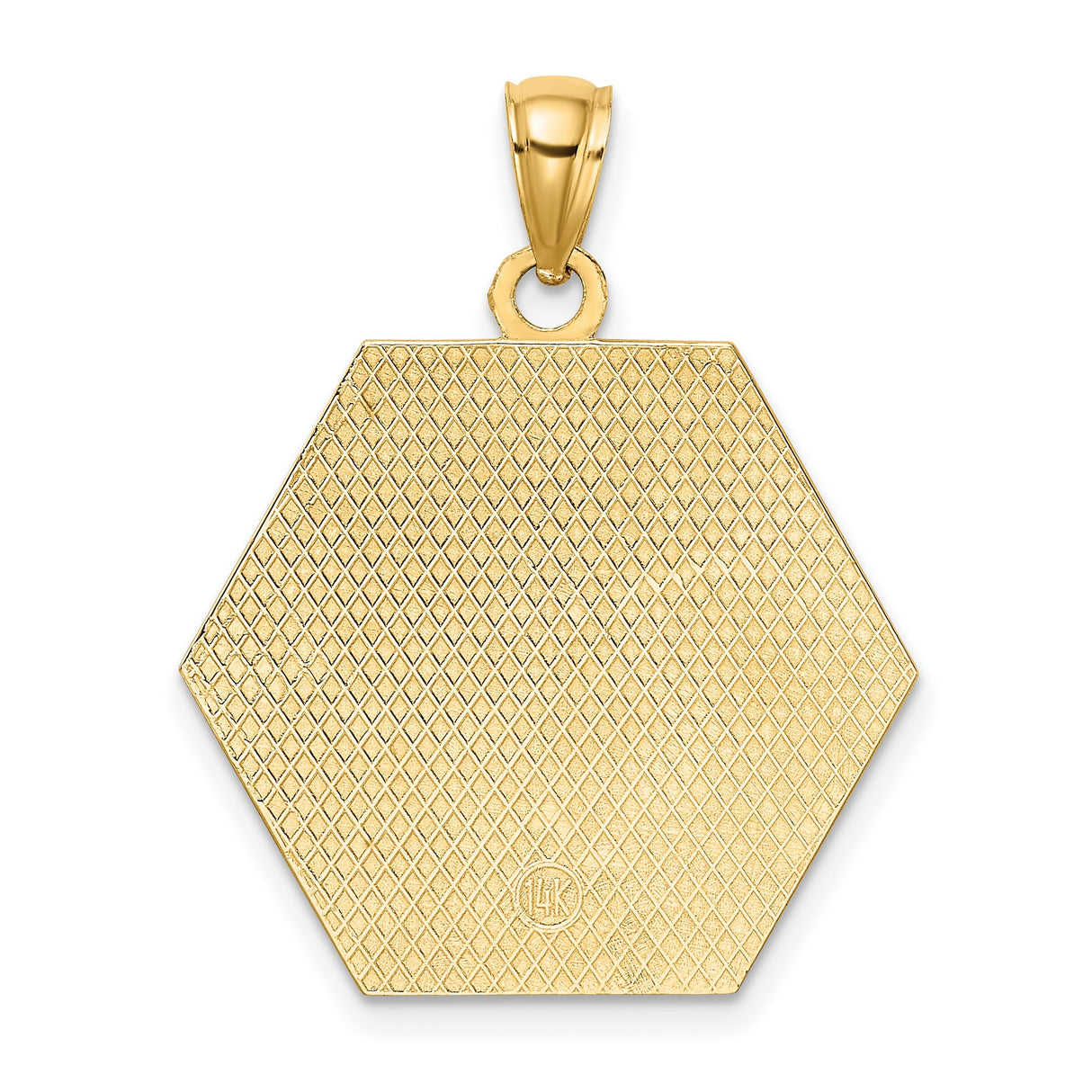 10k Yellow Gold Medical Pendant with Caduceus and Star of Life Symbols