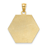 10k Yellow Gold Medical Pendant with Caduceus and Star of Life Symbols