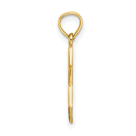 10k Yellow Gold Star of David Pendant with Swirl Detailing, Jewish Faith Symbol for Men and Women