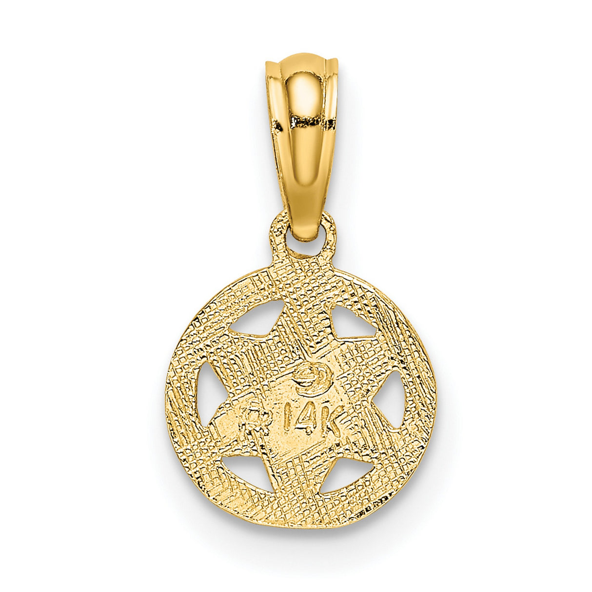 10k Yellow Gold Star of David Pendant with Hebrew Script and Textured Border