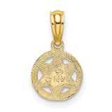 10k Yellow Gold Star of David Pendant with Hebrew Script and Textured Border