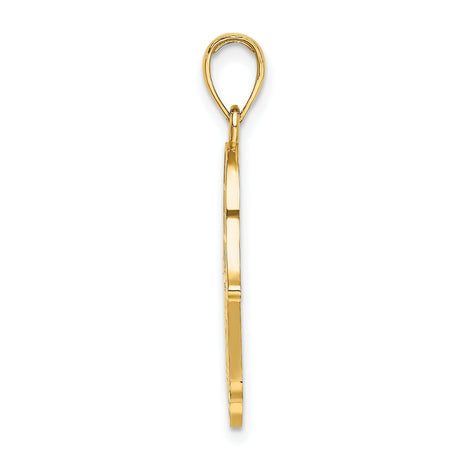 10k Yellow Gold Pendant, Hamsa Hand with Star of David, Spiritual Jewish Symbol for Women or Unisex