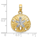10k Multi-Tone Gold Sand Dollar Pendant with Star Design, Nautical Beach Charm