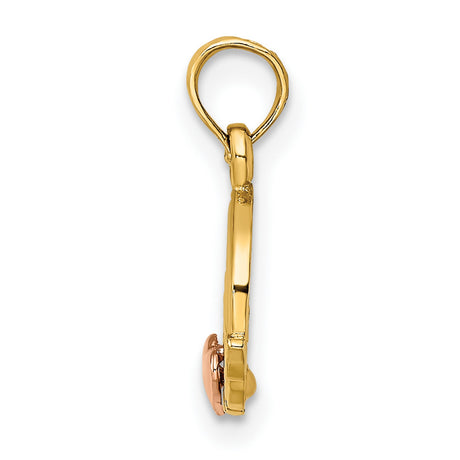 10k Two-Tone Gold Claddagh Pendant with Crowned Heart and Hands Symbolizing Love and Loyalty