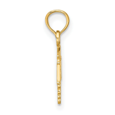 10k Yellow Gold RN Caduceus Pendant with Medical Symbol, Nursing Charm for Women or Unisex Wear