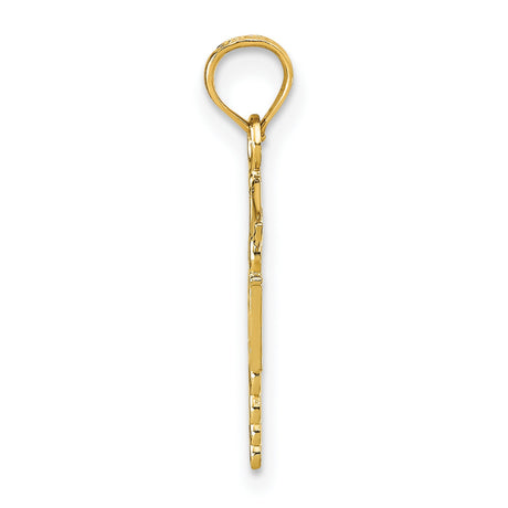 10k Yellow Gold RN Caduceus Pendant, Registered Nurse Symbol Charm for Women or Unisex Wear