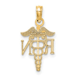 10k Yellow Gold RN Caduceus Pendant, Registered Nurse Symbol Charm for Women or Unisex Wear